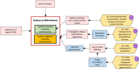 Bloc 4 - Espèces problématiques