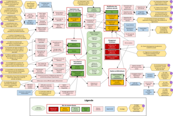 Modèle conceptuel global